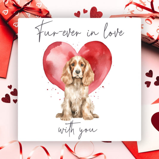 ' Fur-ever In Love' Cocker Spaniel Valentines Card